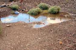 A Boy and A Puddle by Kotaro Miyagi